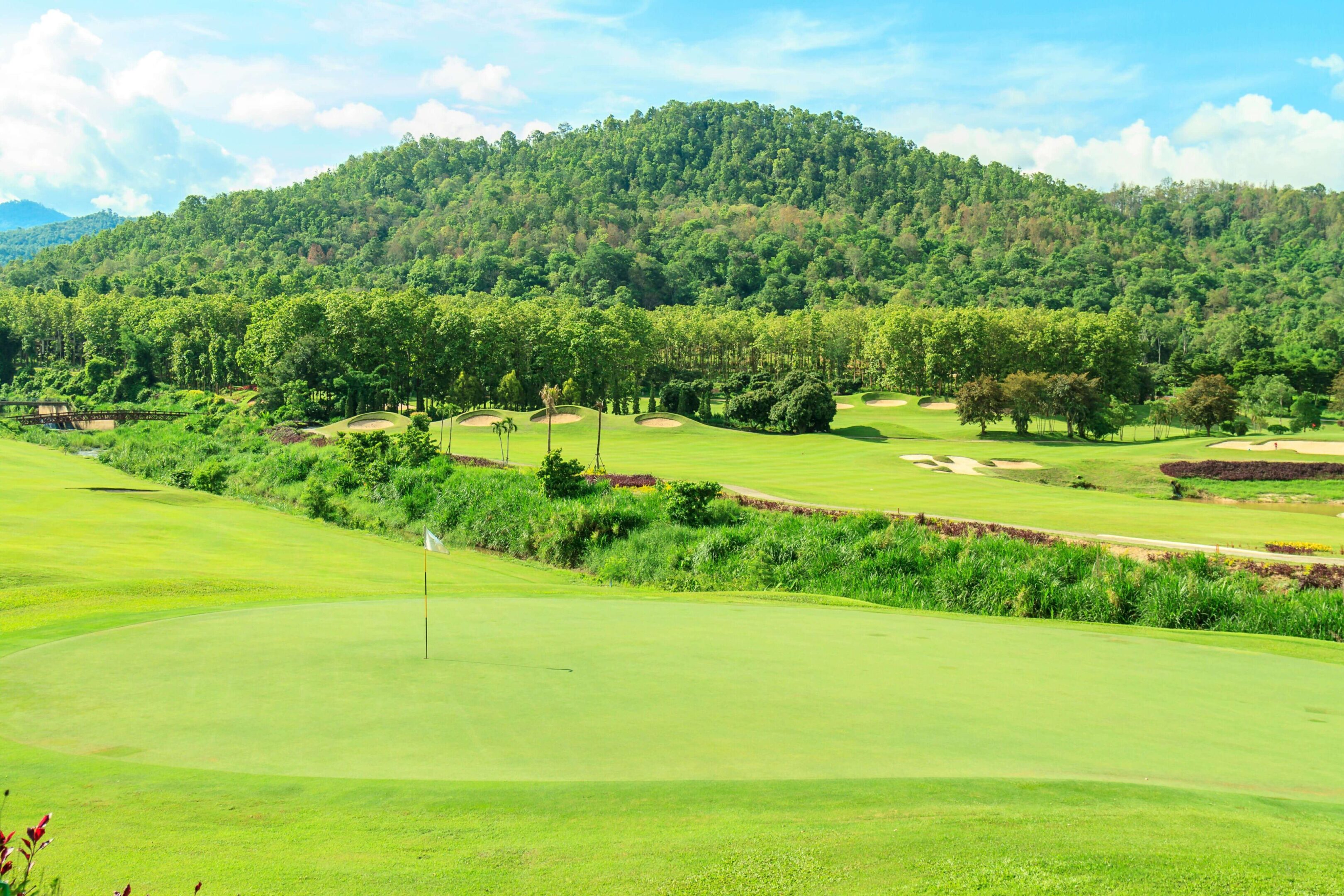 golf-course-landscape (1) (1)
